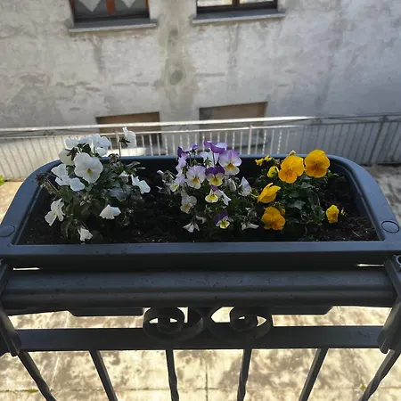 Lejlighed Le Galline Druogno